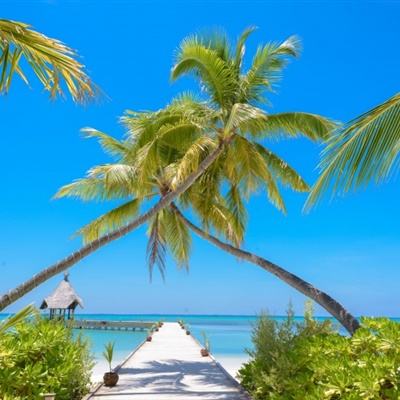 副市长暗访便民中心 工作人员戴耳机听歌当天被辞