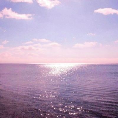 西纳·洛桑旦贝坚赞活佛逝世,享年81岁