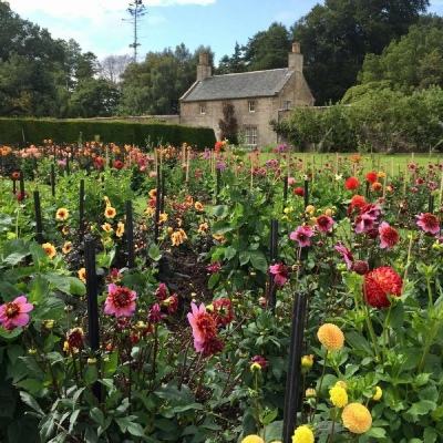 俄军登陆舰开到千岛群岛有何目的