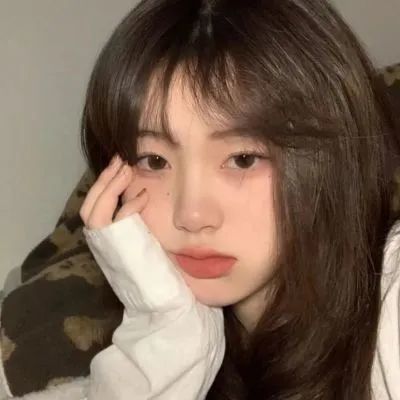 瓦屋山人工巢穴获野生大熊猫喜爱