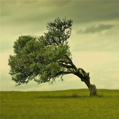 中方就港口事宜回击美国