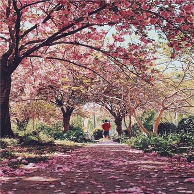 黄雅琼刘雨辰婚纱照