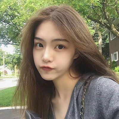 大张伟荷兰遭砸车盗窃 调监控要花4万