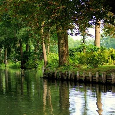 中方:已向欧洲议会提出严正交涉