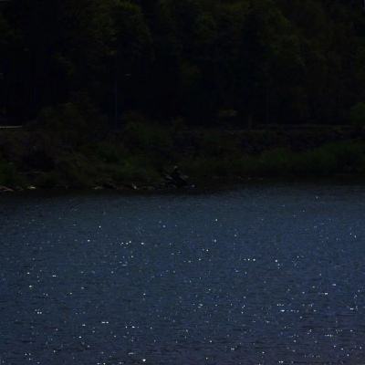 著名诗人沙白逝世 作品曾入选教材