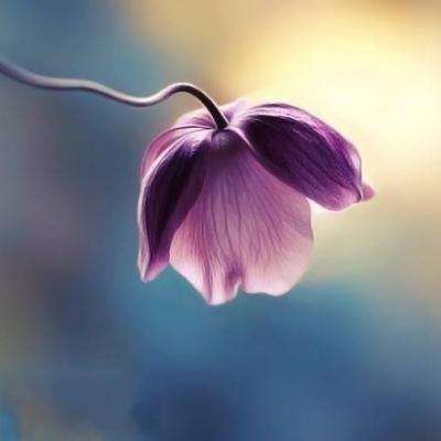 年轻人抢着去博物馆“干饭”