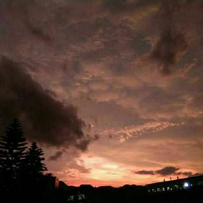 上海电力2025年11月17日跌停分析