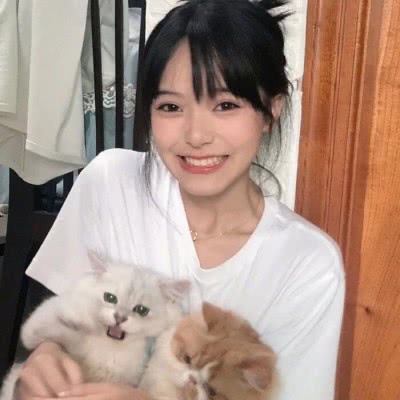 硬刚ChatGPT的千问国内可下载