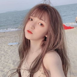 嘉实稳宏债券D净值下跌2.04%