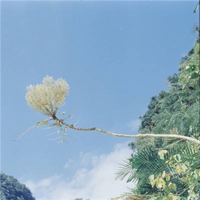 “加密女王”在伦敦落网