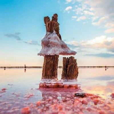 米莉:数智时代社会科学研究的范式创新与价值锚定