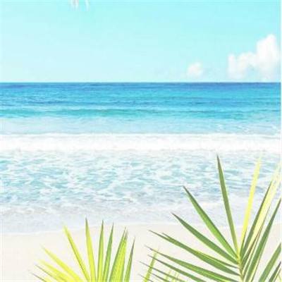 香港大埔四级火警已致4死