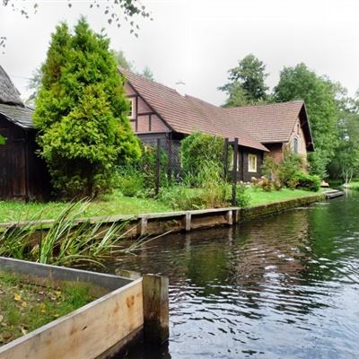 里夫斯调侃詹姆斯父子