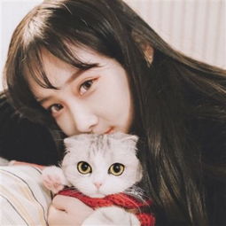 富国中证诚通国企数字经济ETF净值上涨1.51%