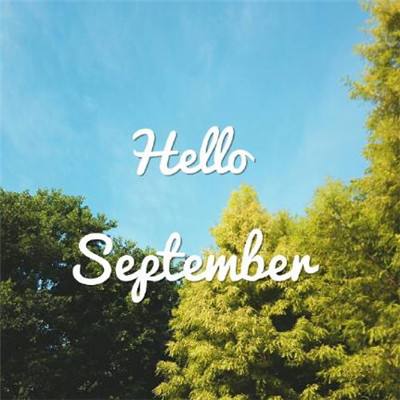 AMD苏姿丰最新喊话:在英伟达垄断九成的AI市场,要夺取两位数份额