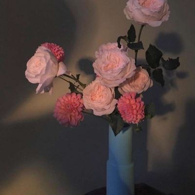 普京已收到美提出解决俄乌冲突的计划