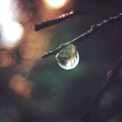 特朗普替纽约市长解围