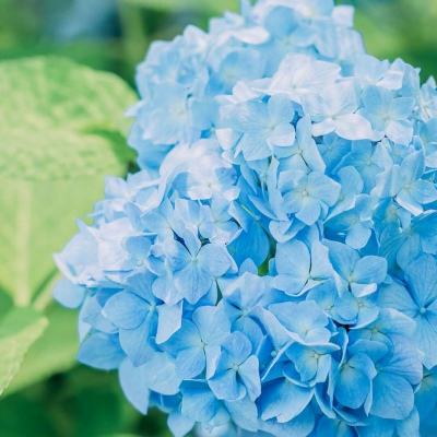 柬埔寨劫囚女嫌犯系一囚犯妻子