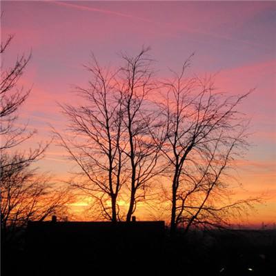 高市幻想“软着陆”?中方明确表态