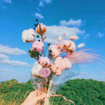 电动自行车“挡风被”到底该不该用