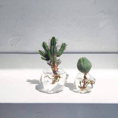 男朋友看完吵着要做美甲,艾特你的美甲师来学