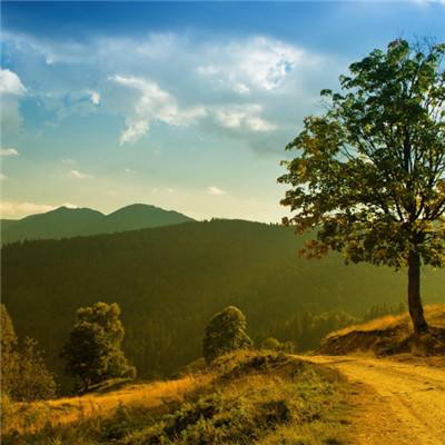 这工作不错啊,站着就把钱给挣了。