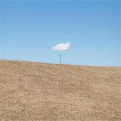 双十一这3种套路千万小心