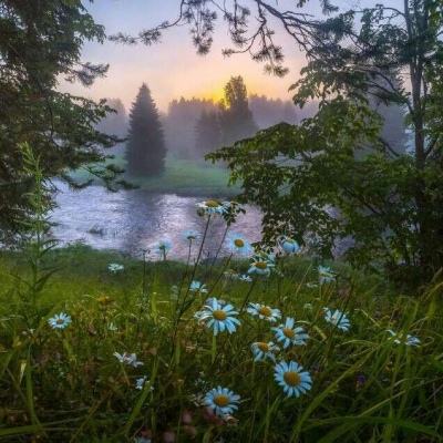 日出东方股价涨9.11%,广发基金旗下1只基金重仓,持有1000股浮盈赚取1110元