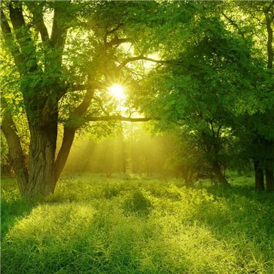 仕佳光子股价涨5.1%,浙商证券资管旗下1只基金重仓,持有10.3万股浮盈赚取41.1万元