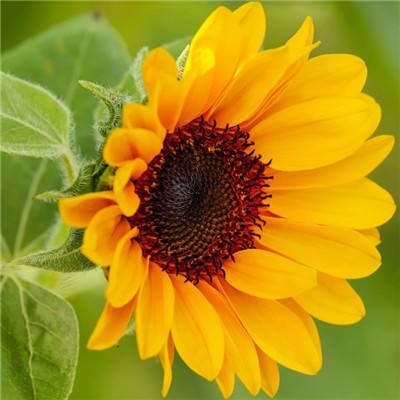 年内新发公募基金产品已达1378只