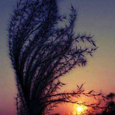 源杰科技股价涨5.13%,银华基金旗下3只基金重仓,合计持有21.24万股浮盈赚取574.11万元