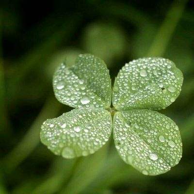 HTML5的离线应用