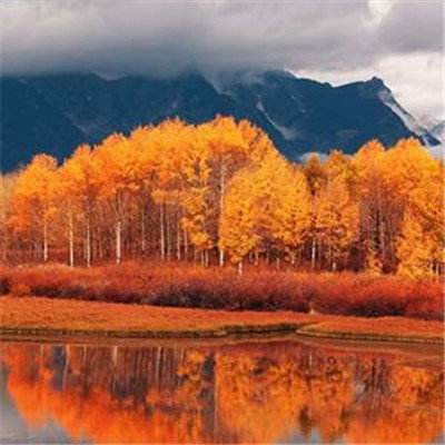 比特币进入新的波动性阶段!12月“狂欢”模式已锁定?