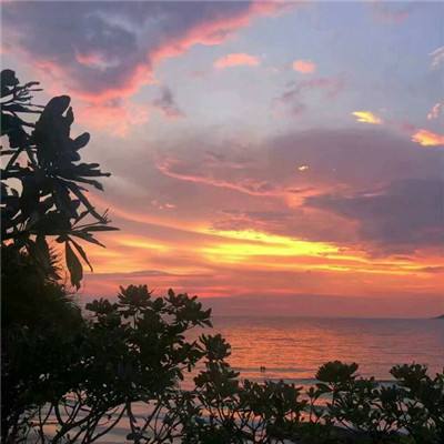 日本民众集会抗议要求高市下台