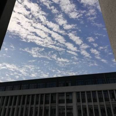 俞敏洪连发10条南极游视频