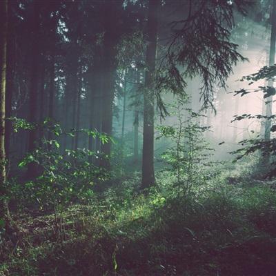 你觉得驾考科目二难过还是科目三难过?