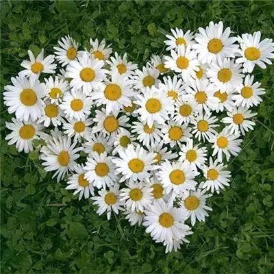 酒价内参11月23日价格发布 整体价格微跌古20领涨