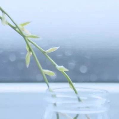 媒体:高市早苗同时得罪四国