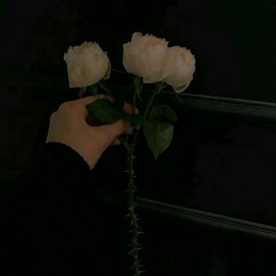 媒体:琉球问题就该摆上桌面