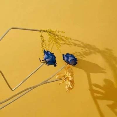 男子查出子宫未见异常 医生停职