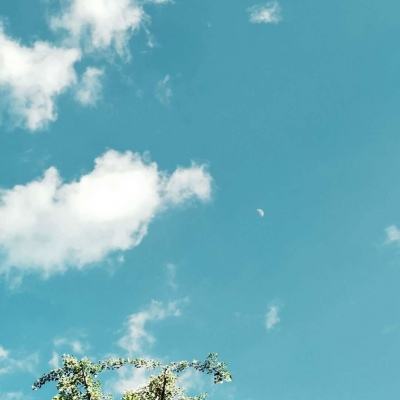 100架阵风会成乌救命稻草吗