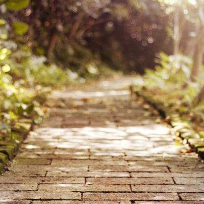 泰方将涉赌诈头目佘智江引渡回中国