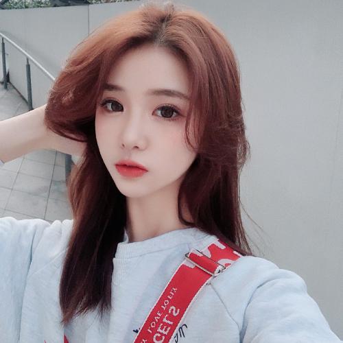 企鹅大战海龟中文版