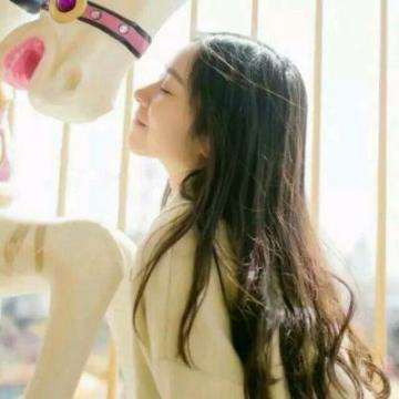 四季赛车无敌版