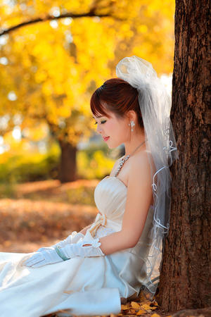 组装机械武士水龙