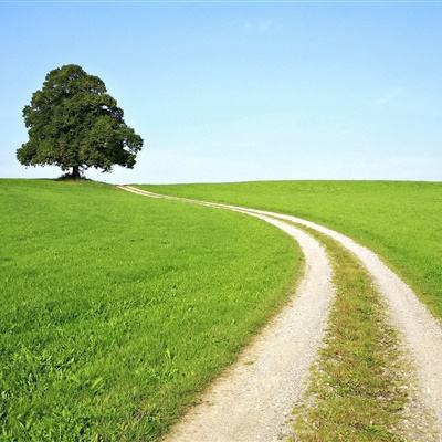 魔塔50层无敌版