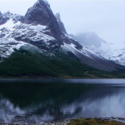 豆娃勇士无敌版