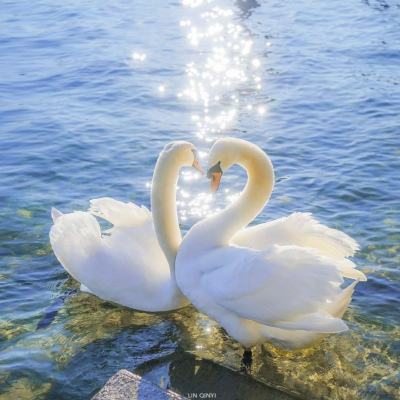 少年骇客怪物车