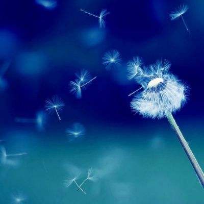 华为称Mate80显示5A不是5GA