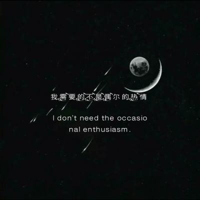 世界板球锦标赛